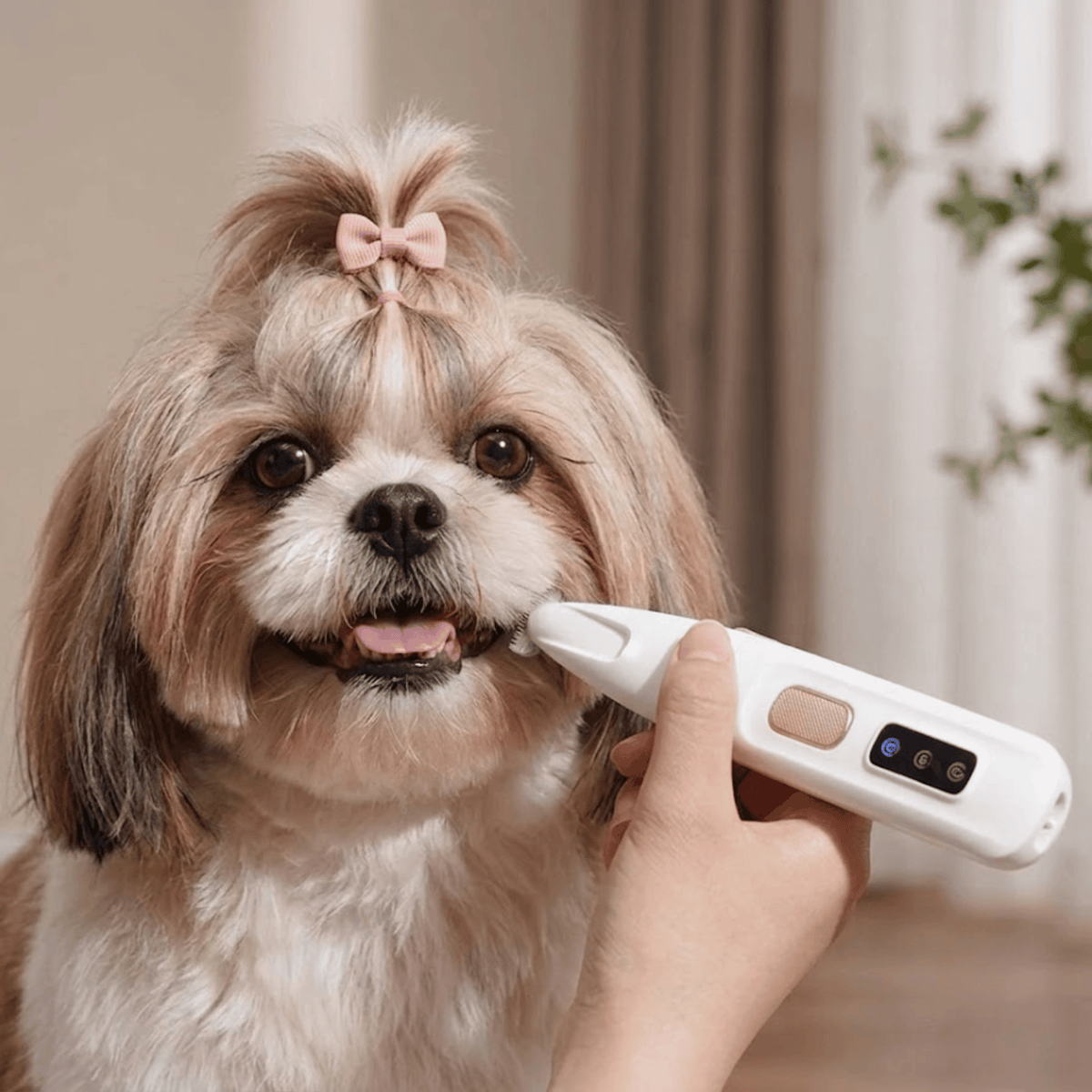 Vira Paw™ | מכונת תספורת שקטה לכלבים וחתולים